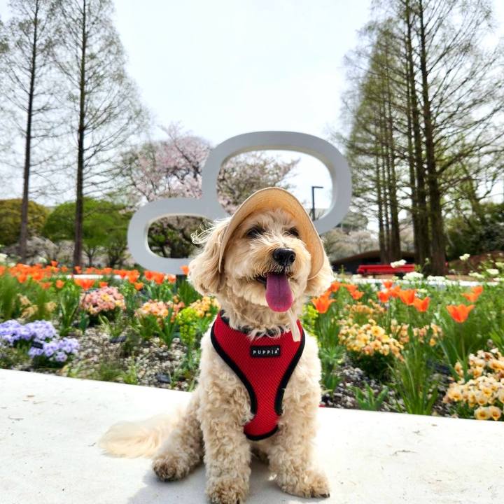 8346f2b9 3909 4ec8 8576 74f9c8033dc7 1775466614169