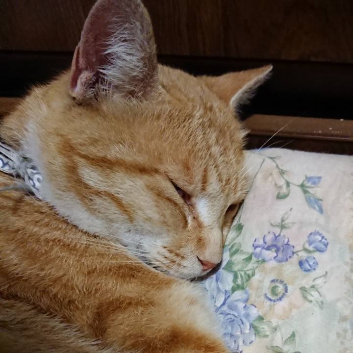 8347044d 6b7e 4fae 8631 1b6feb603acb 1590494900578