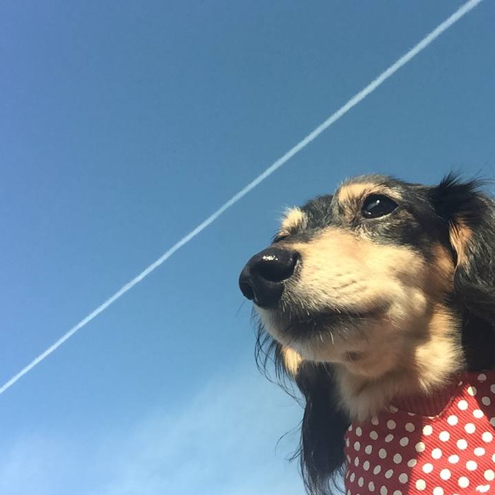 83470980 adb5 4ba6 8a48 35ed3b1b0bbd 1539735522367