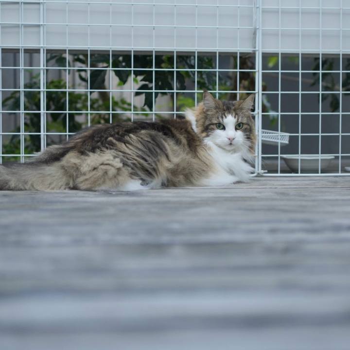 83472315 dbc3 4404 be26 90e73849e1d0 1722822857062