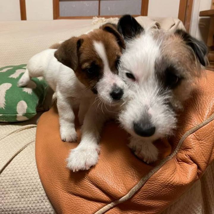 834747db 59fb 47cb bf86 0ba3c7d64945 1773804967133