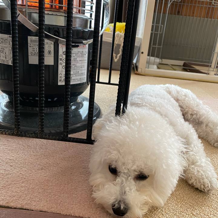 83476cbc 4bcd 49fa a69b a874dd287a57 1766810681325