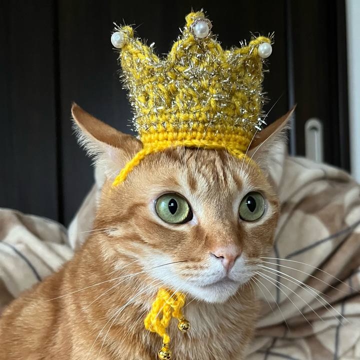 8347c6ac 85d9 4c6f a5a9 da7d34874196 1636464578616