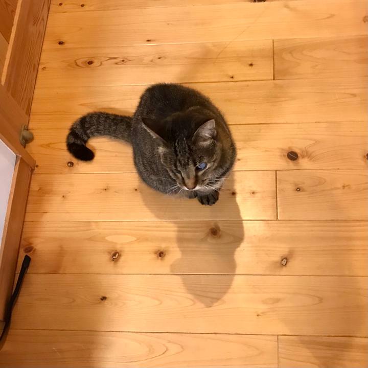 8347dce0 783a 4542 966e 75d44013dcf2 1619144916677