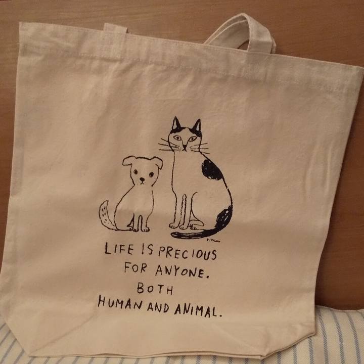 8347e023 c5c5 485f 80c9 ae2646d1c42b 1570384983967