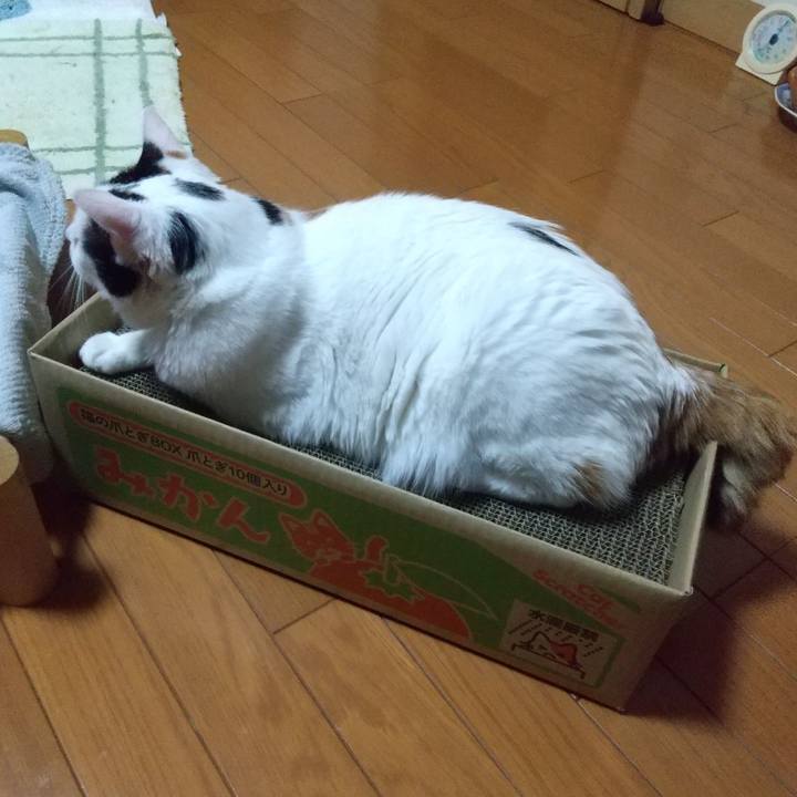 8347e362 4d13 4536 980a 2dbcb48cfa6a 1706097505444