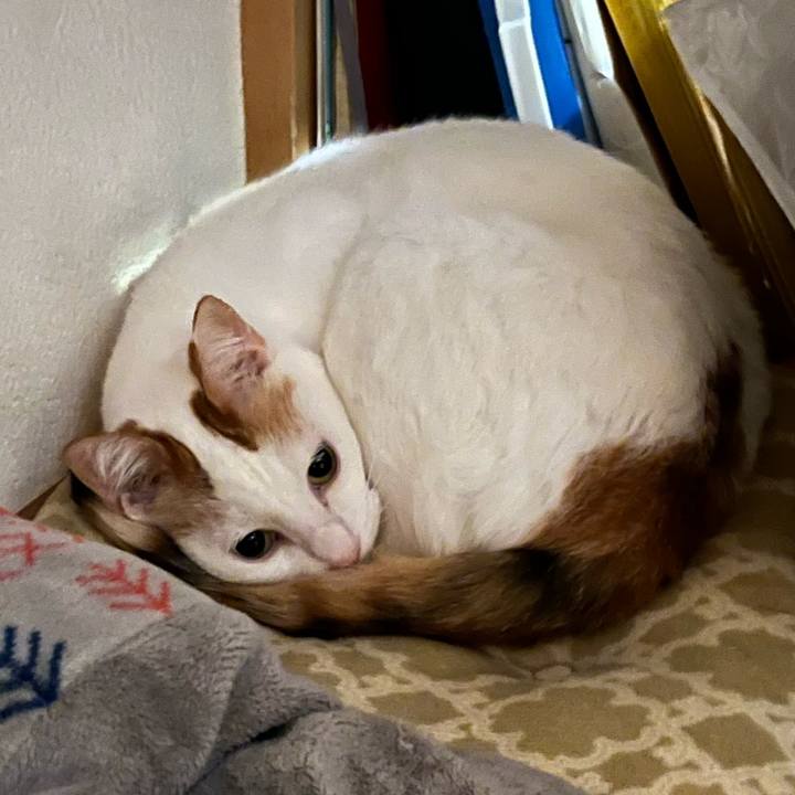 834836c3 aeeb 47d8 83e8 5686805d3330 1761314118452