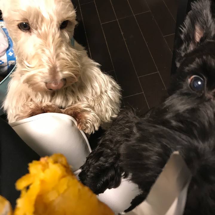 83483c0a 4c34 4d69 8a4e 5e3175343084 1548475911059