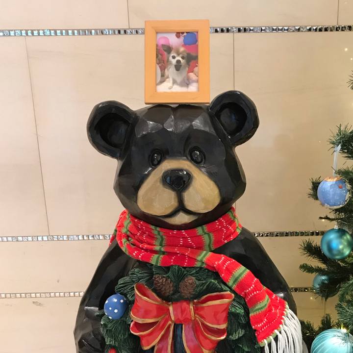 83484475 5889 4978 b06d 66774bb0fd18 1545554701320