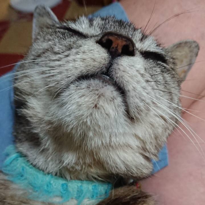 83484ee1 a864 4341 995b e6bf747308be 1565178239861