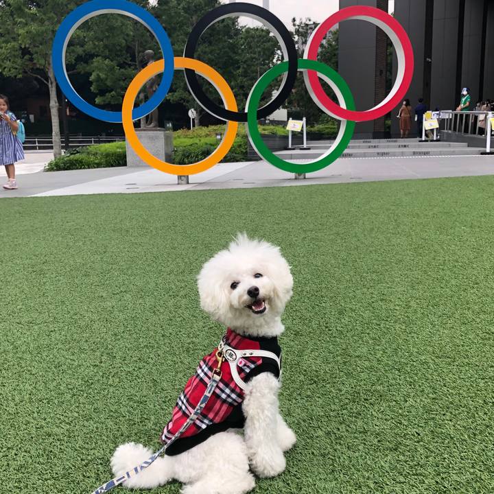 8348823a a50c 41c7 a274 1196731d6a8d 1601800683792