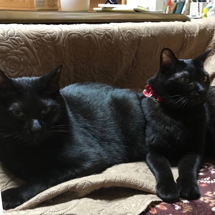 8348b377 17f0 46b6 8be5 55f497ec41a9 1510410779615