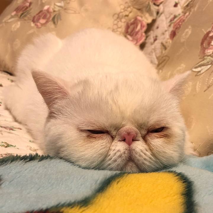 8348b710 2396 4878 a396 abb6350c98e6 1581687331631