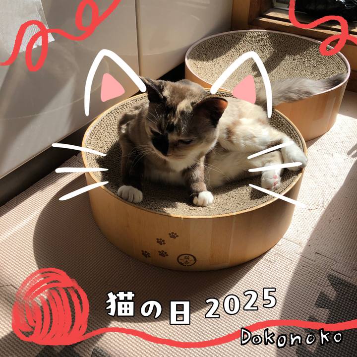 8348c0bd 2132 42cf 9469 dd5355b28c80 1740195571417