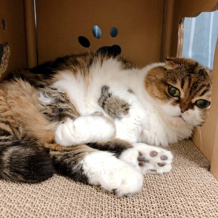 8348d80c 8151 465e 855a 51c7c23a44e5 1598714677579