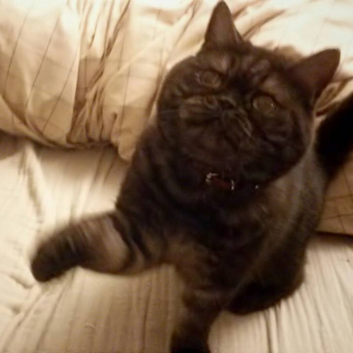 8348f610 5e51 4500 94ea 4504941d026c 1509443626843