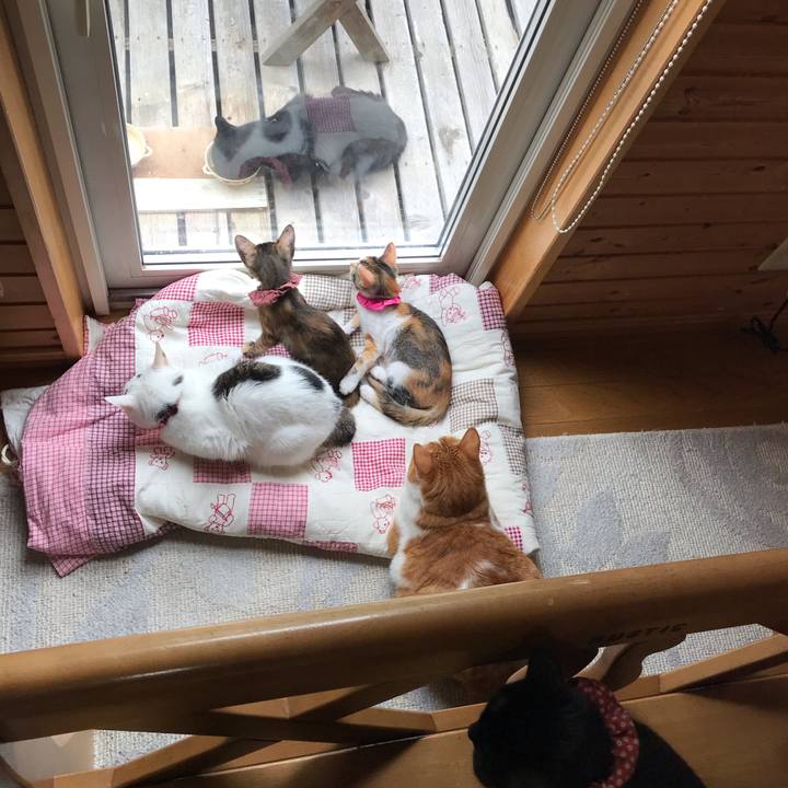 8349025e cdc6 475c 8db2 0d13964a38f6 1599953419279