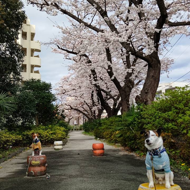 83498f44 fe34 4eba 90f5 3b0b6699139f 1648336895431