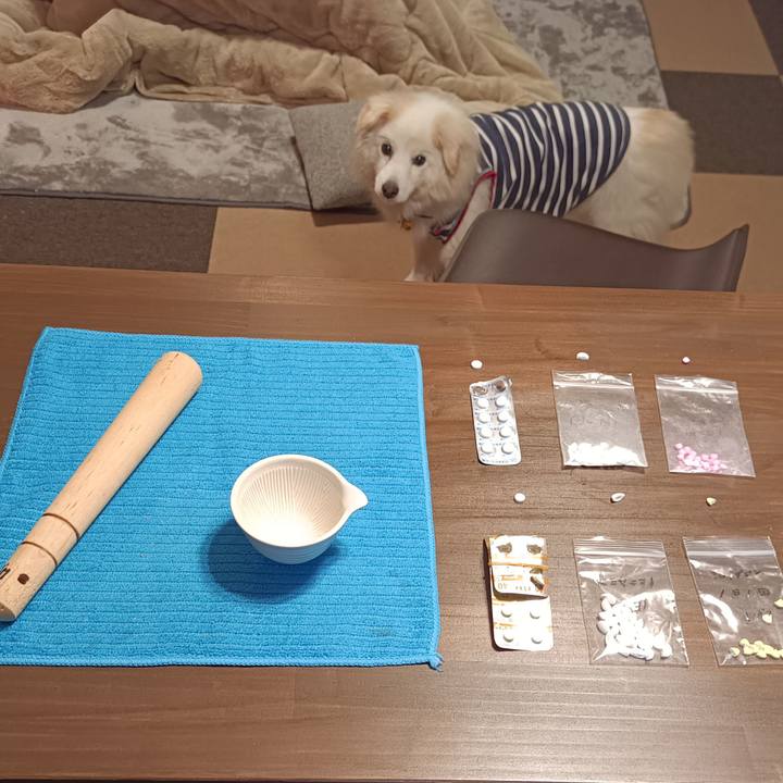 8349a95e a415 463c a25f 9996319643c9 1736199210077