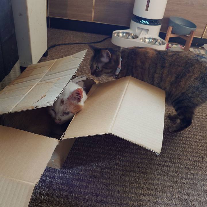 8349b10e 8b28 4ce4 bfca 6493e094ca9e 1777104559919