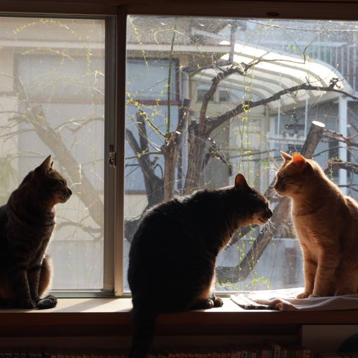 834a066b 2608 4438 a883 caca88056ac1 1742010426912