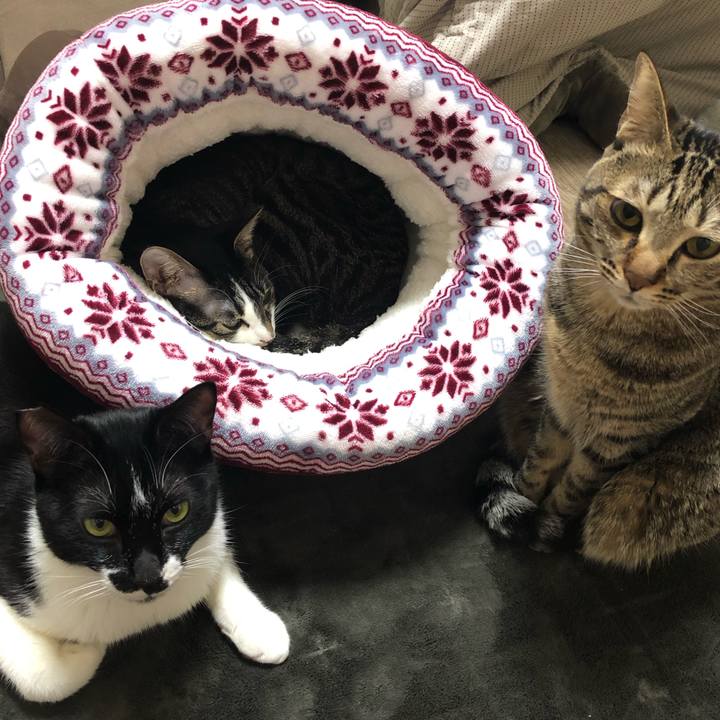 834a2aa9 5cbe 4feb b36b 0172bd322c08 1548298617283