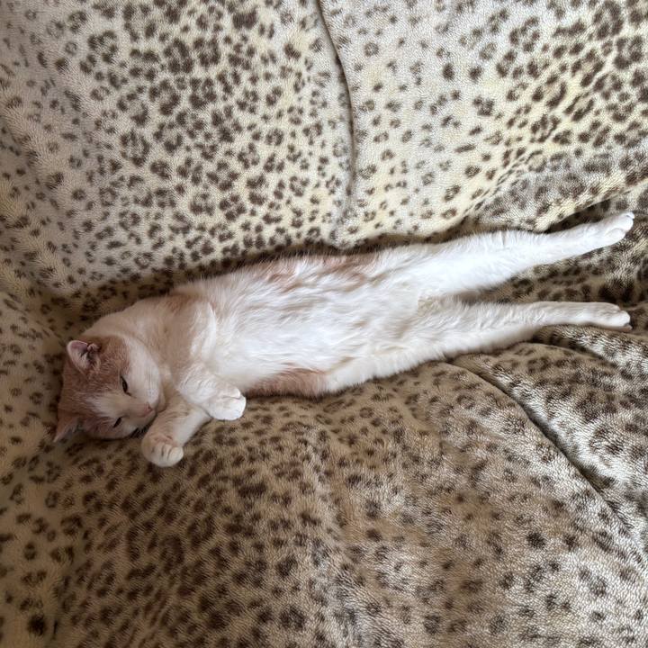 834a4109 5759 4bed 90ee 51a17f7e2142 1772366706967