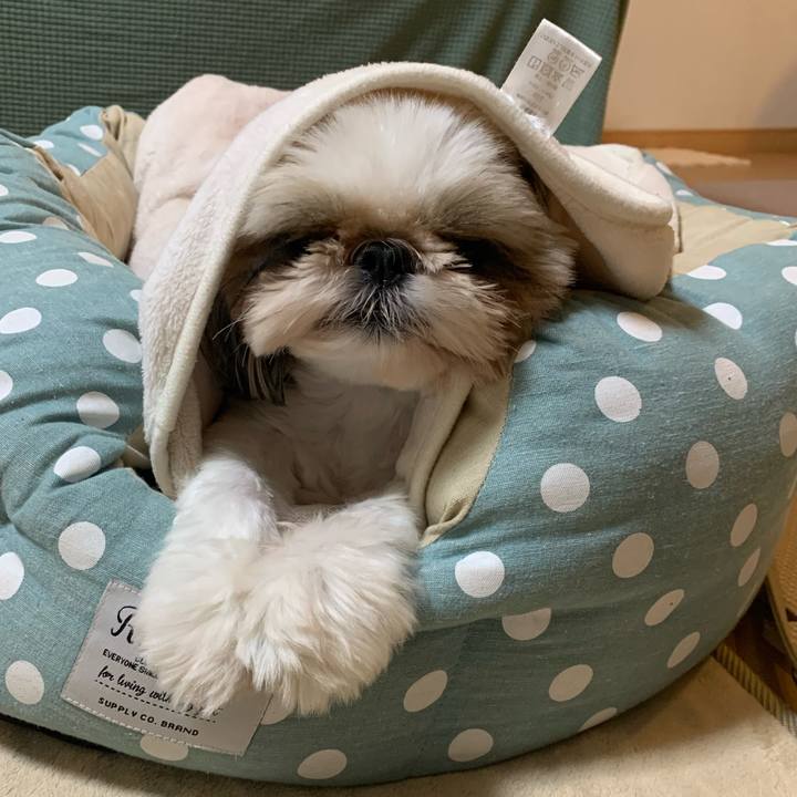 834a58ad edea 48ee bc2c d142fb4fa7e0 1634485589383