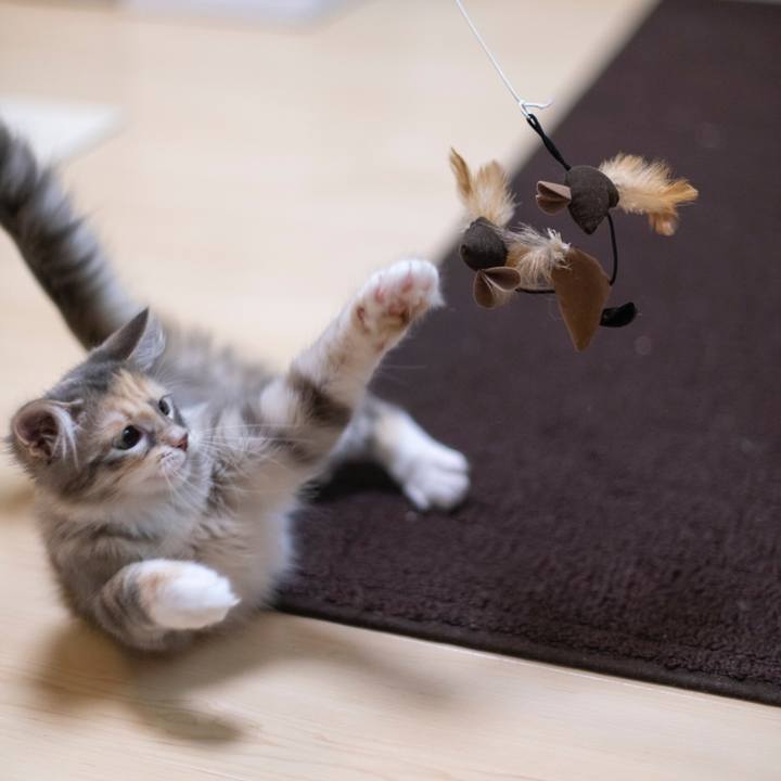 834a5ce9 35e2 4872 b4f8 e228c9117fd6 1537791035707