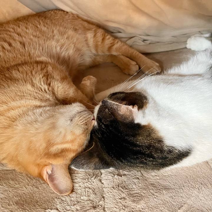 834a61de fbe1 44c3 83b7 a3eb769bd77c 1772749666287