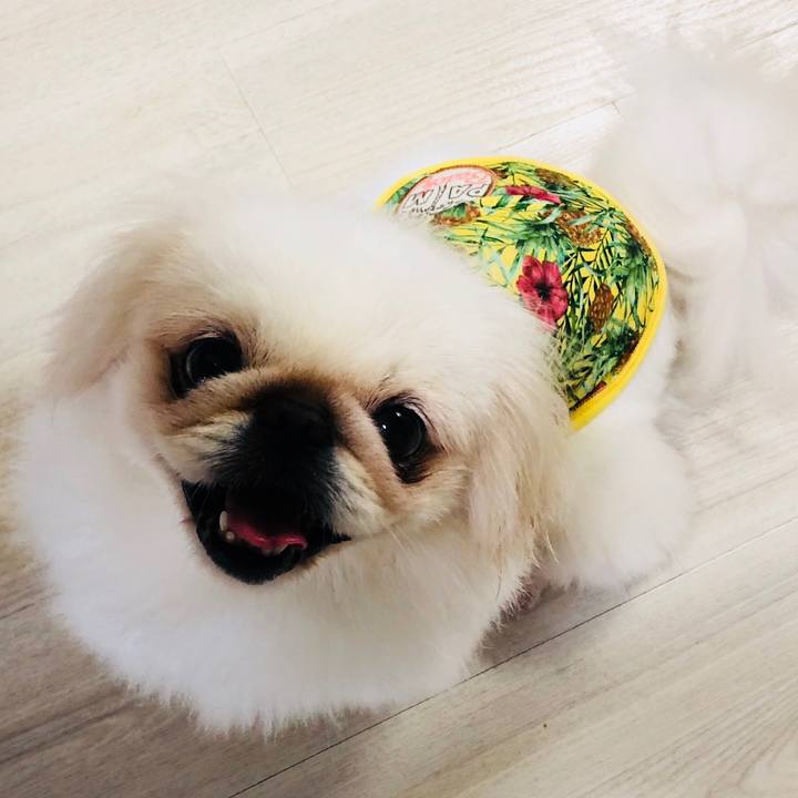 834a7898 ece7 4c38 9997 5e7797c14a7f 1563921657192