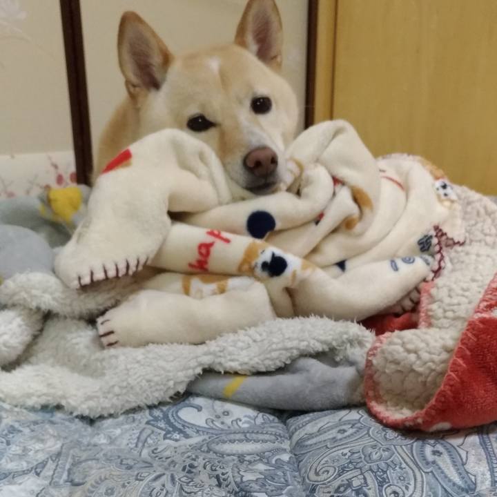 834a8b8b e6f9 4b63 947b 4c1c9ba0513d 1602239452400