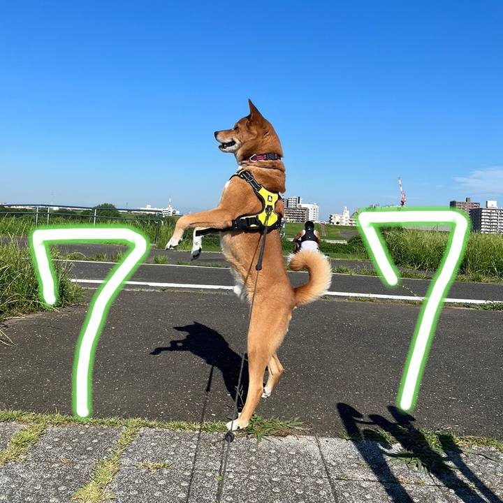 834aa186 40fb 430f b80d 1e8f8ac54f76 1687431525900