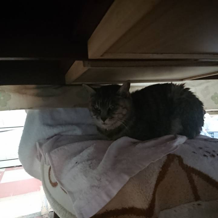 834ab463 12f3 4a7f bd61 33c0fb47b2ca 1574724347377