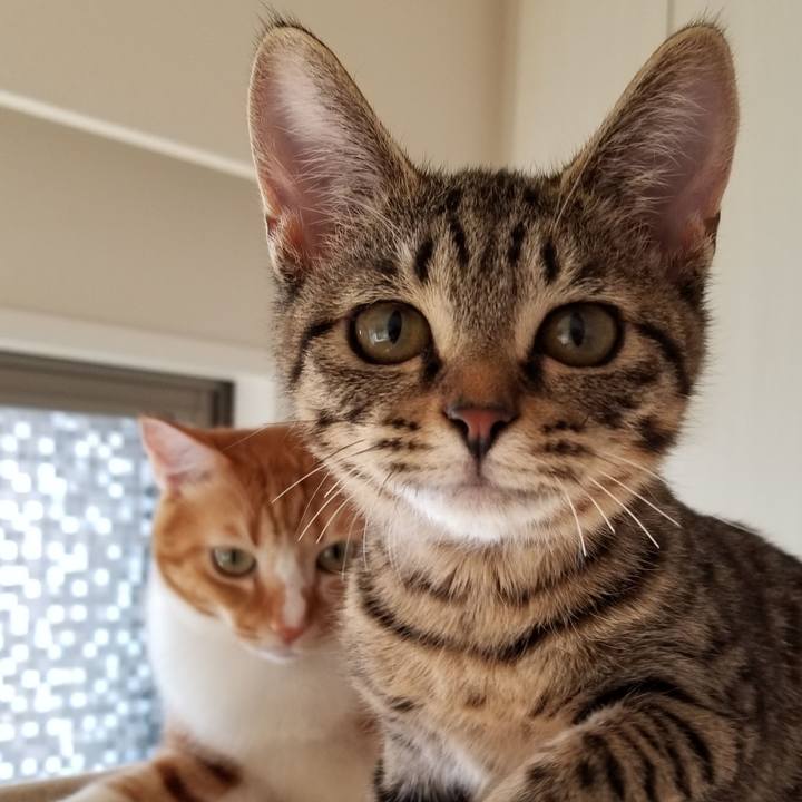 834b6d39 5cd0 47ca 80a9 78e2bf6eaf13 1541836203821