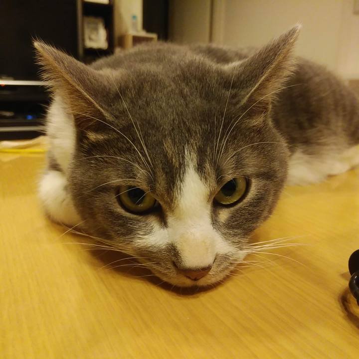 834b7114 d094 4ab7 89bd b78b8023cb29 1610101694606