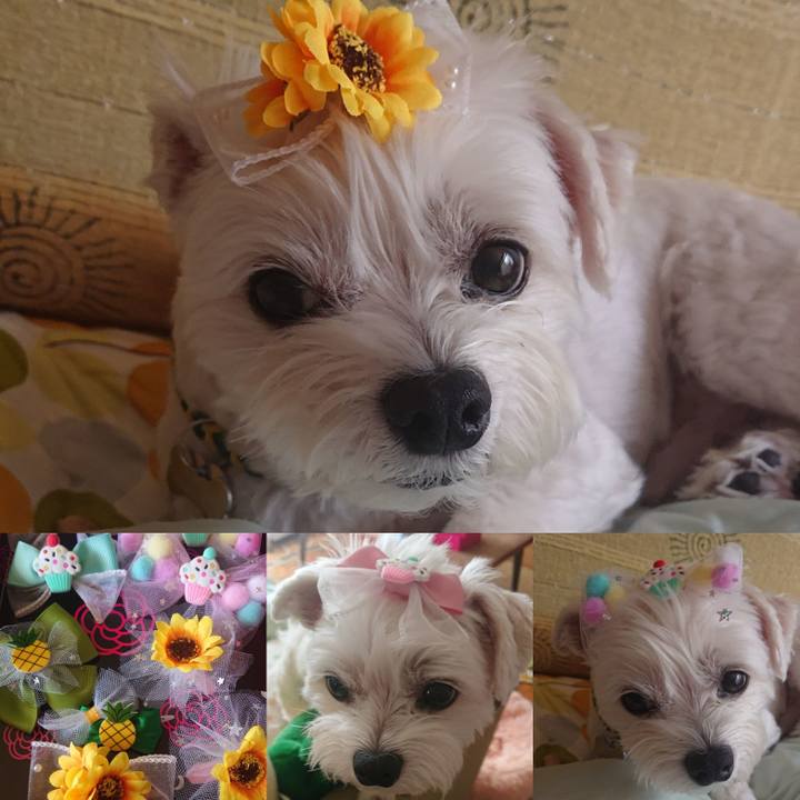 834b7914 f36c 448b aef7 54236618c478 1592370791438