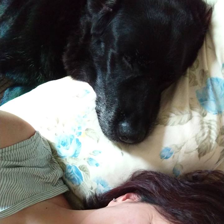 834b8c9c 431e 4f2b afa0 a79df826105c 1698270346659