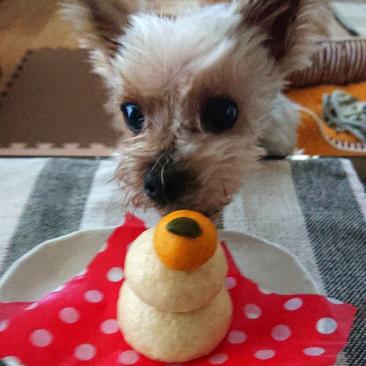 834ba224 68e5 42d9 8150 a2658bad4e28 1578092890204