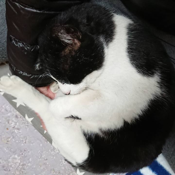 834ba69f c894 40e5 aa0b 90b508acd220 1553329436314