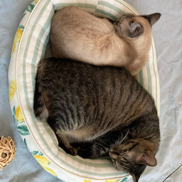 834bb63b 8f05 4232 96a7 c952937542c3 1690160462711