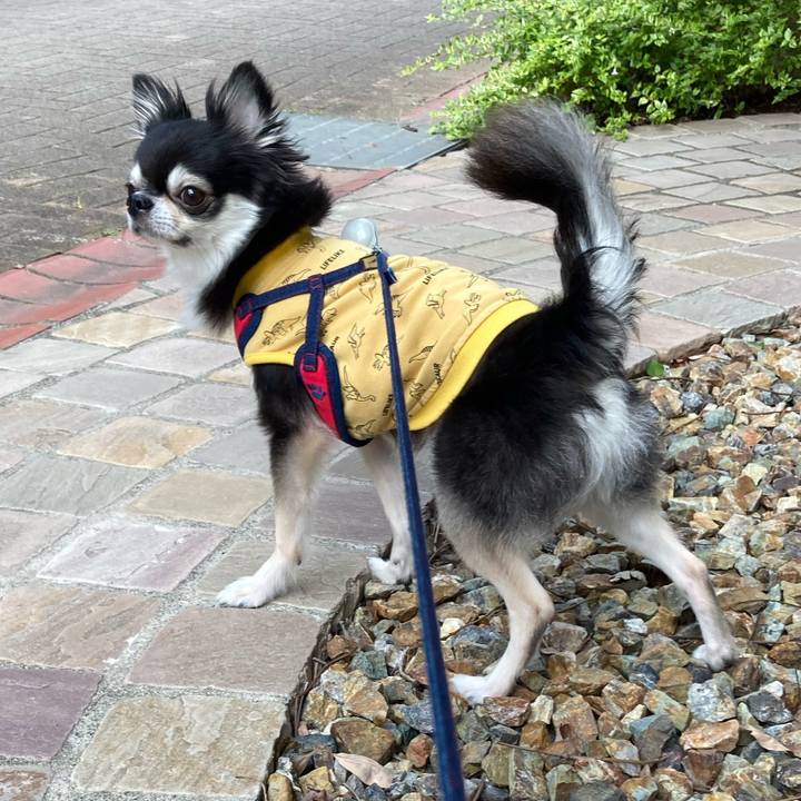 834bf83b f1d1 4eb6 a73b 24a1f900e67d 1698576061860