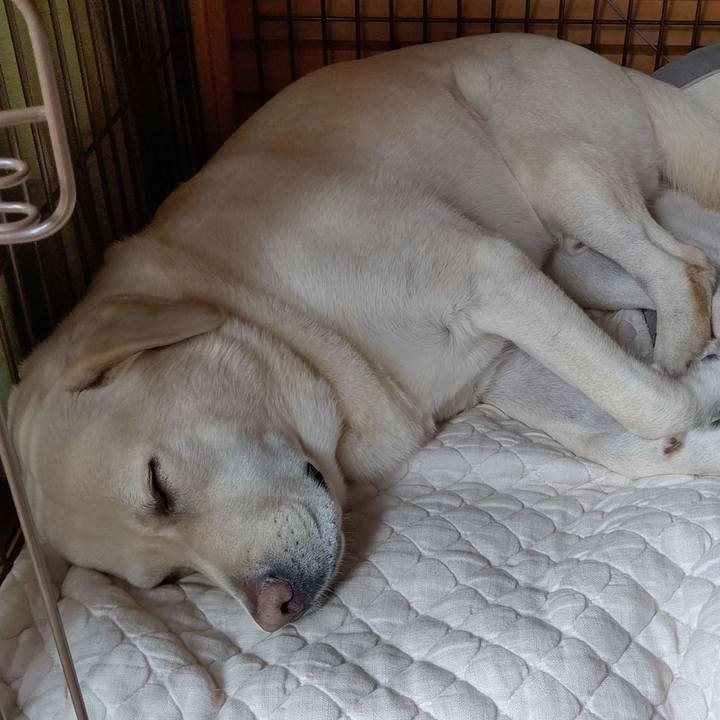 834bfd4c c8cd 4061 b07a e82d3e7c6e31 1594945912483