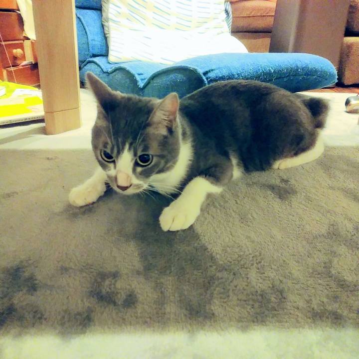 834c0339 0aa7 4bed b30c 70224a7f50d5 1592057066549