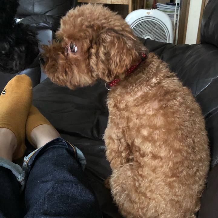 834c7101 9345 4531 b2e4 aff8e1dad485 1570841141995