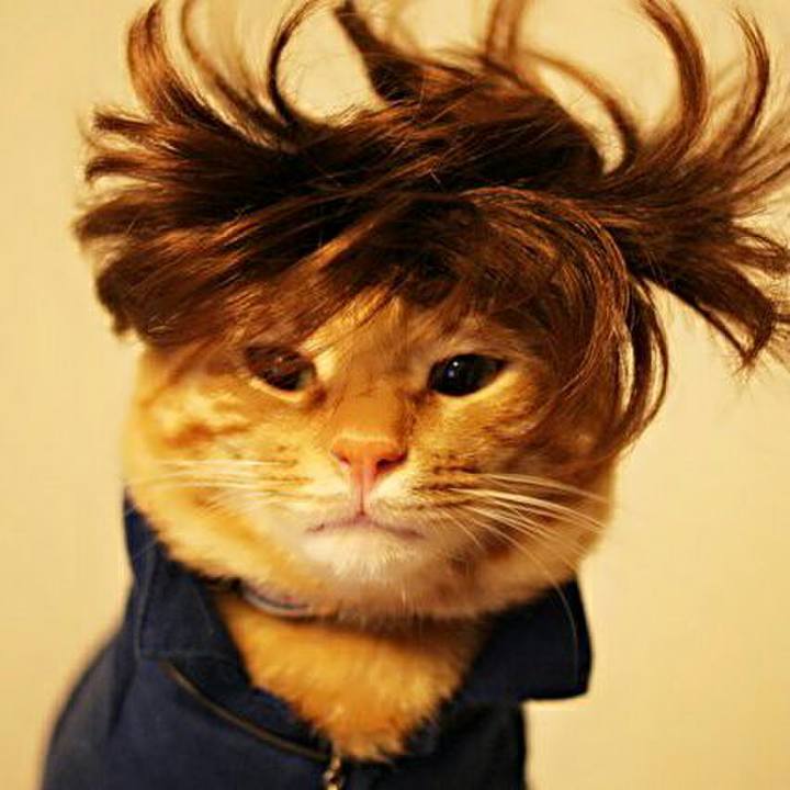 834c8fb4 6846 481e ba99 9df62af094ad 1515856348655