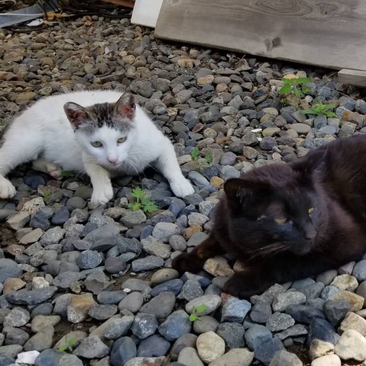 834cb13d 3ff0 4414 827c 1ad63f7ecae8 1686575906659