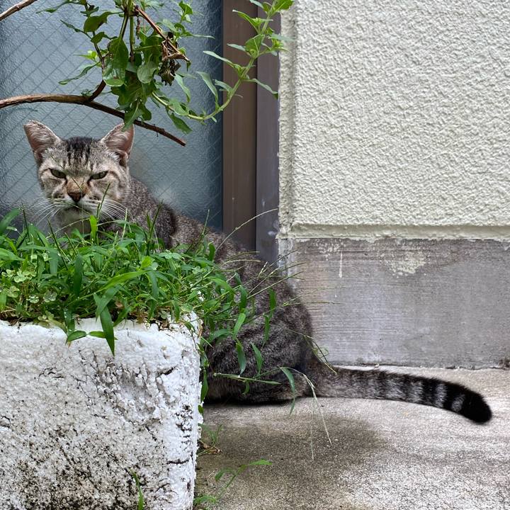 834cd0be 9f3d 4d30 978d 6716c095ddd5 1662816214827