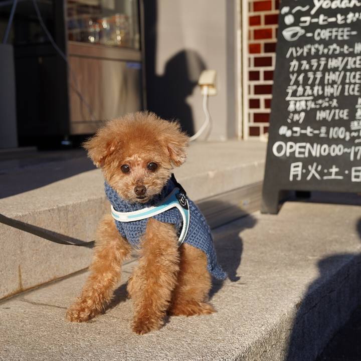 834cda73 2222 4581 a1f7 b9f427c39b58 1698928682745