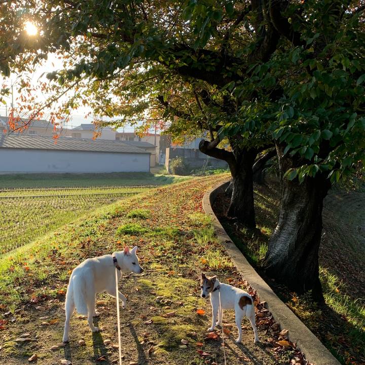 834ce3be 5831 4bff 857c 6e2a36b6bec2 1573340885114